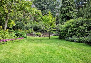 Optimiser l'expérience du jardin à Sancourt